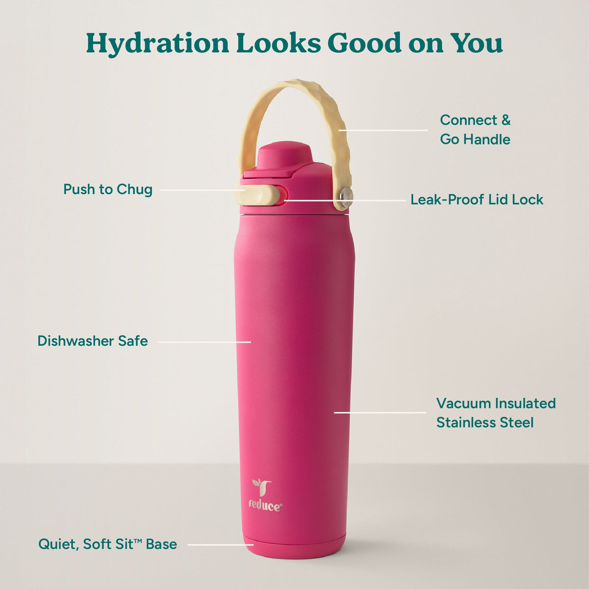 aura-26-oz-n1 Aura_26oz_DragonFruit_PDP_Infographic_2-03.jpg