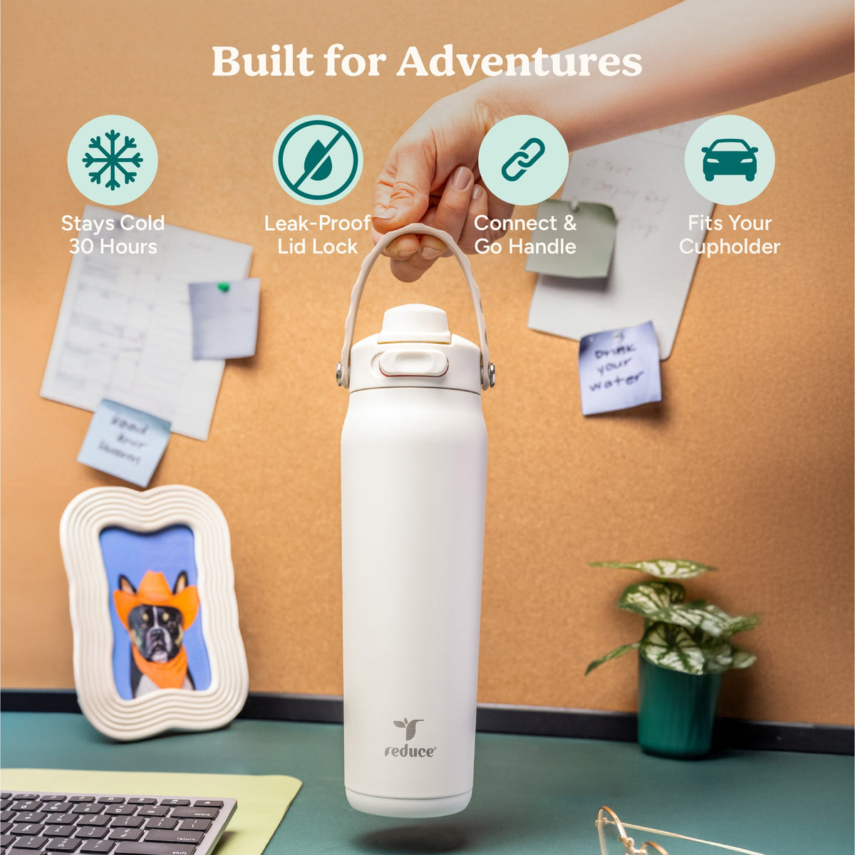 aura-26-oz-n1 Aura_26oz_Unbleached_PDP_Infographic_1.jpg