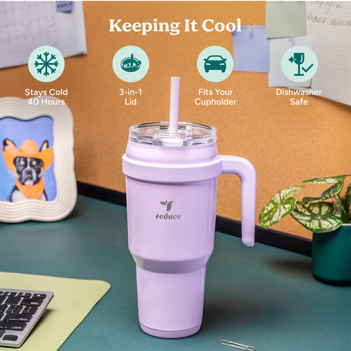 cold1-40-oz-p4 Cold1_40oz_PalmLeaf_Infographic_1.jpg