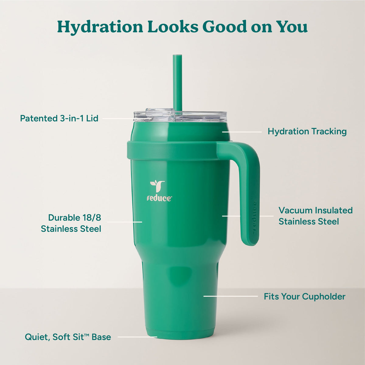 cold1-40-oz-p4 Cold1_40oz_PalmLeaf_Infographic_2.jpg